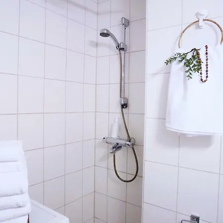 Daire Roost Otava